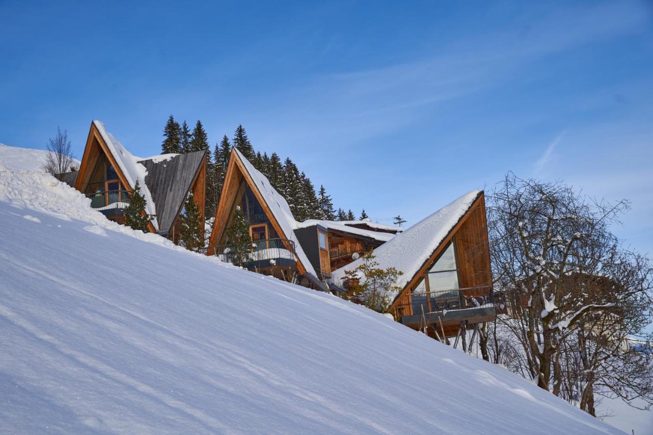 Hochleger - Chalet Refugium Am Berg Aschau Im Zillertal Экстерьер фото