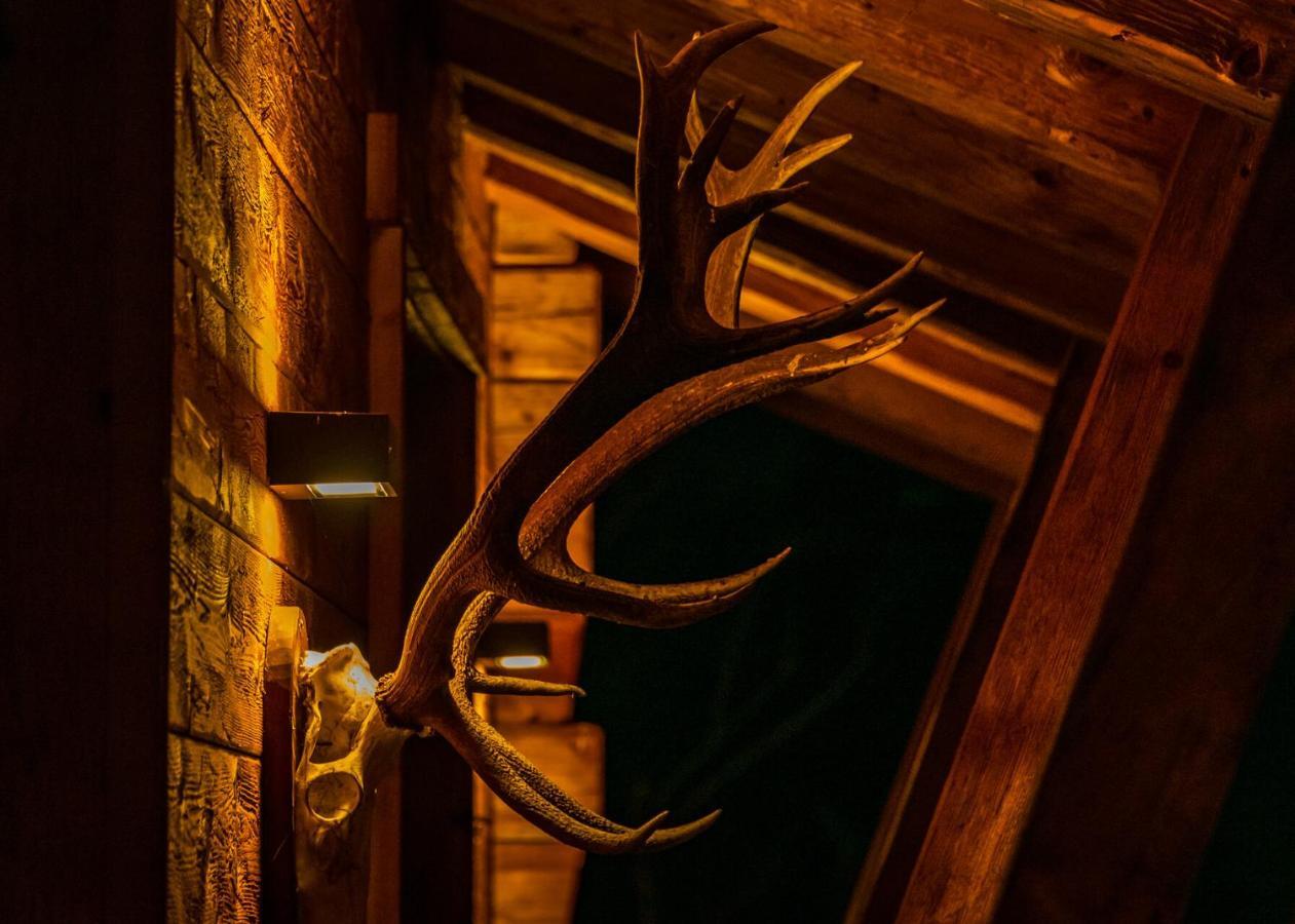 Hochleger - Chalet Refugium Am Berg Aschau Im Zillertal Экстерьер фото